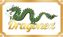 DRAGONEX Handicrafts - DRAGONEX Vietnam MTV Company Limited