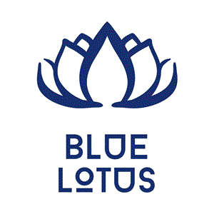 Blue Lotus Handicraft Manufacturers - Blue Lotus Export Import Company Limited