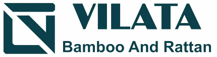 Vilata MTV Company Limited