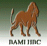 HBC Bao Minh Company Limited