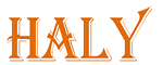 Haly Service Trading Co., Ltd